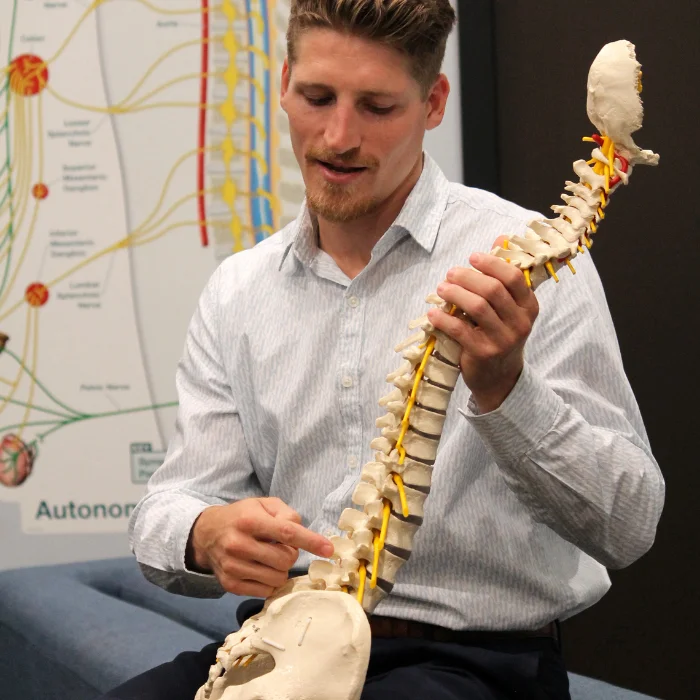 follow up chiropractic visit hudson wi